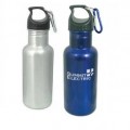 Stainless Steel Bottle