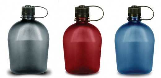 Nalgene Oasis Canteen Shaped Bottle
