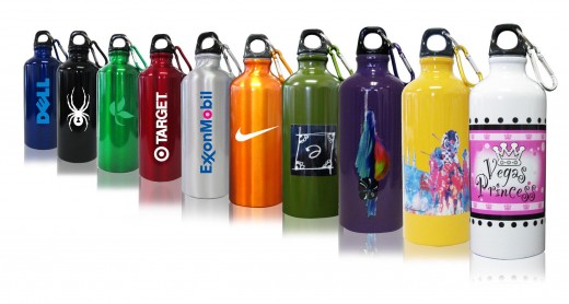 22 oz Aluminum Water Bottles w/ Carabiner
