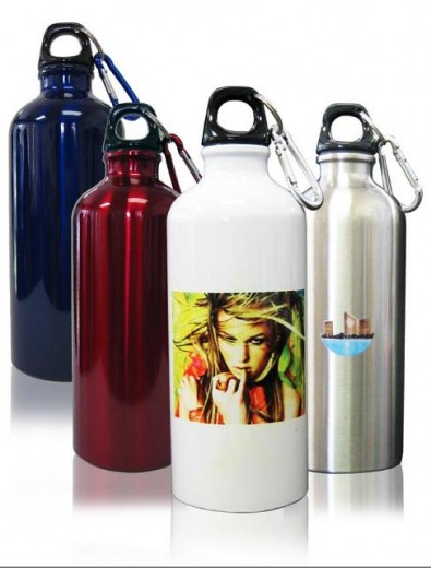 22oz Stainless Steel Water Bottles