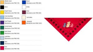 Personalized Triangle Bandana