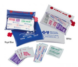 Mini First Aid Kit