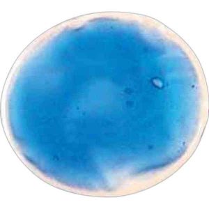 Custom Imprinted Oval Ice Pack