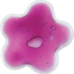 Imprinted star ice gel packs