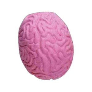 Imprinted Brain Eraser Pencil Topper