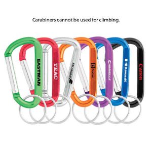 Carabiner Key Chain