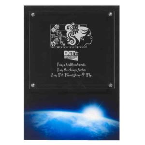 Brushed Aluminum / Acrylic Plaque