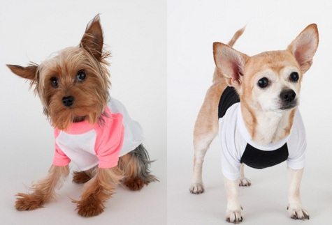 Dog Raglan Shirt