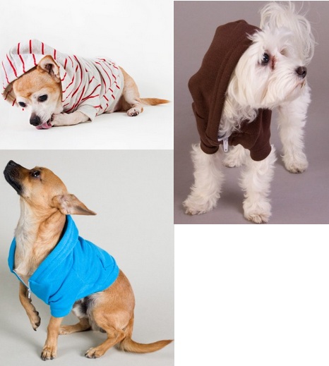 Dog Zippered Hoodie