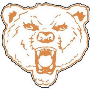 Bear Mascot Fan
