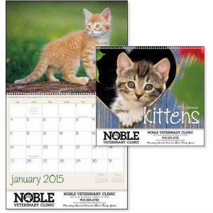 2015 Kitten Photos Calendar