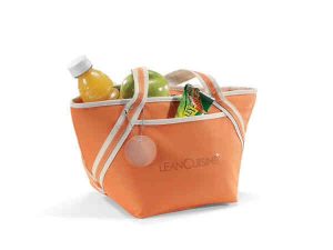 Cooler Tote with Heat Sealed Interior