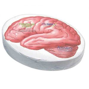 Brain Shape Compressed T-Shirt