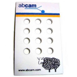 Rectangle Novelty Test Tube Floater