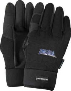 Winter Touchscreen Gloves