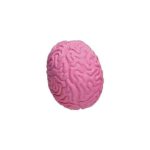Custom Imprinted Brain Eraser