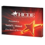 Acrylic Star Paperweight Award