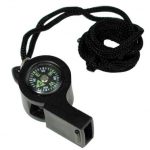Whistle Compass