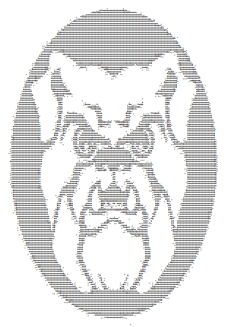 ASCII Computer Code Image