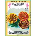 Marigold Seed Packet
