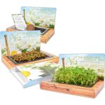 Mailable Planter Kit