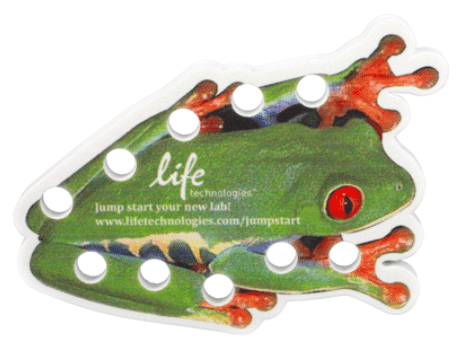 EVA Foam Test Vile Holder - Frog Shape