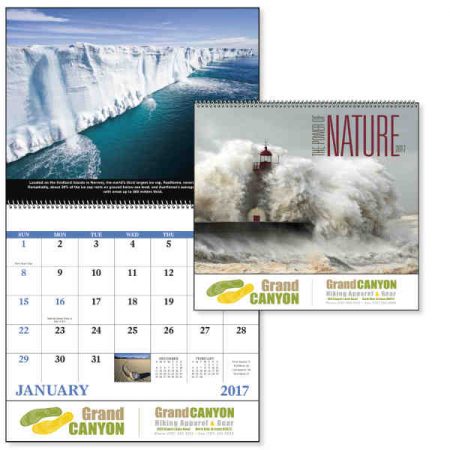 2017 Wild Wall Hanging Calendar