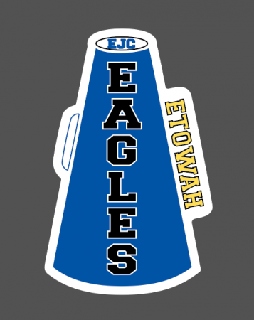 school car magnet, high school magnet, megaphone magnet