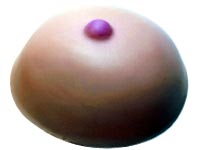 Breast Self-Exam Instructional Aid