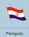 Paraguay Flag Pin