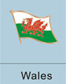 Wales Flag Pin