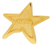 Star 110% Lapel Pin