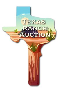 Custom shaped corrugated plastic bidder auction paddles / hand fans with......