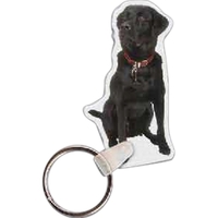 Dog Key Tag