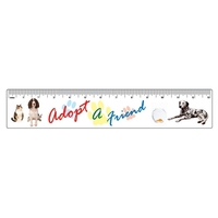 Ruler, 13 1/4" x 2 1/2".... from ASI 75629 PSI Plastic Graphics / Plastic...