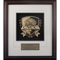 Framed medallion award. Double hole 5 inch medallion award. Available in......
