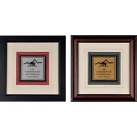 Single Hole Framed Award