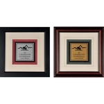 Single Hole Framed Award