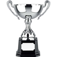 Euro Trophy Cup Award