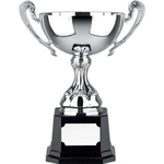 Euro Trophy Cup Award