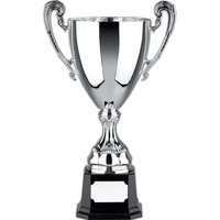 Euro Trophy Cup Awards