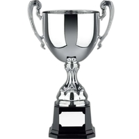 Euro Trophy Cup Award