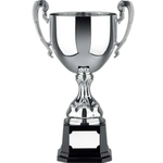 Euro Trophy Cup Award
