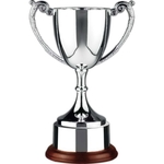 Endurance Trophy Cup Award