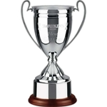 Endurance Trophy Cup Award