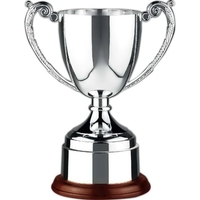 Endurance Trophy Cup Award
