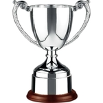 Endurance Trophy Cup Award