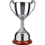 Endurance Nickel Plated Trophy Cup Award