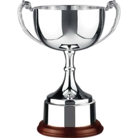 Endurance Nickel Plated Trophy Cup Award