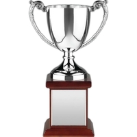 Endurance Nickel Plated Trophy Award